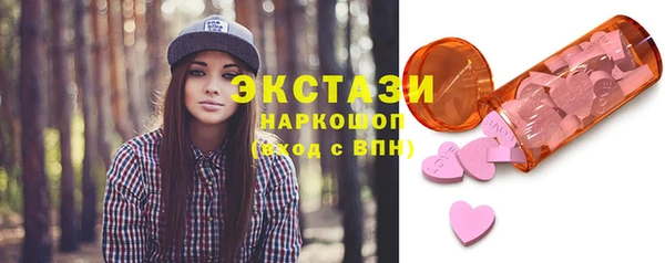 ECSTASY Инсар