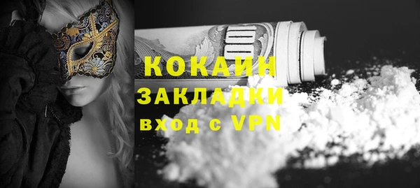 винт Инта
