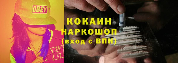 ECSTASY Инсар