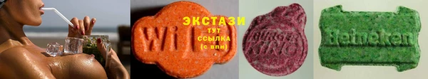 ECSTASY Инсар