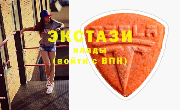 ECSTASY Инсар