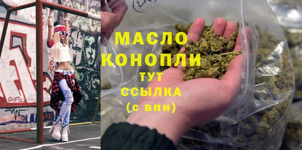 винт Инта