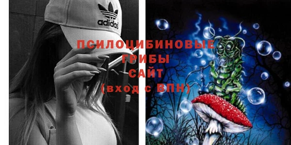 винт Инта