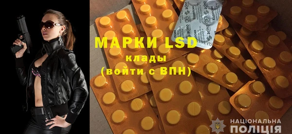 винт Инта