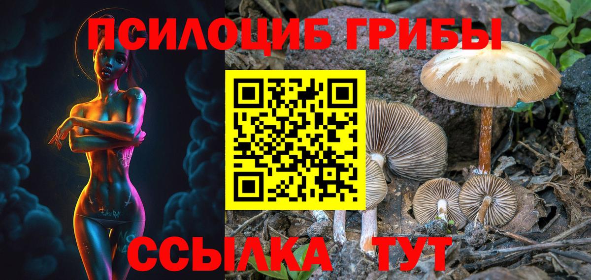Галлюциногенные грибы Magic Shrooms  Вход с VPN  Волгодонск  Псилоцибиновые грибы Cubensis 
