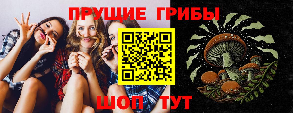 Галлюциногенные грибы Magic Shrooms  Волгодонск  Псилоцибиновые грибы Psilocybine cubensis 