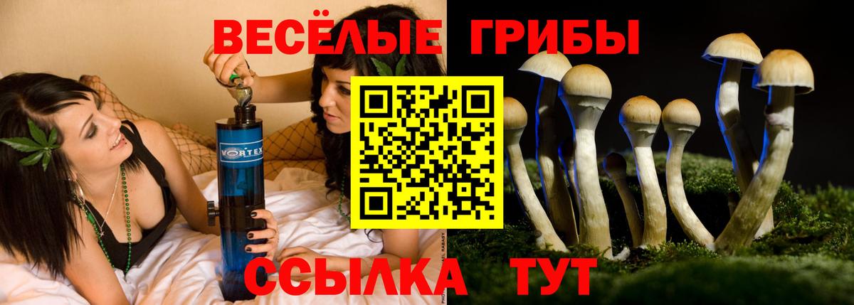 Галлюциногенные грибы ЛСД Волгодонск